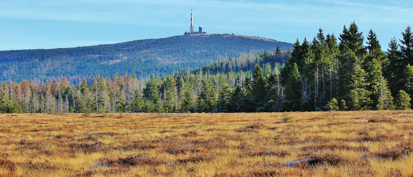 Brockenblick am Großen Torfhausmoor