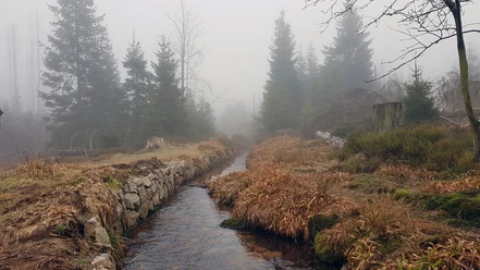 Abbegraben im Nebel