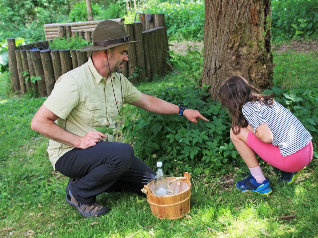 Ranger_Freddy_zeigt_Kraeuter_