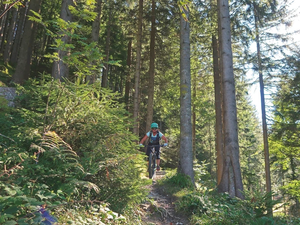 Bikeschule Willisau