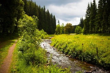 Mulde bei Holzhau