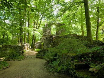 Klosterpark Altzella