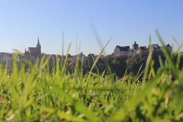 Leisnig Panorama