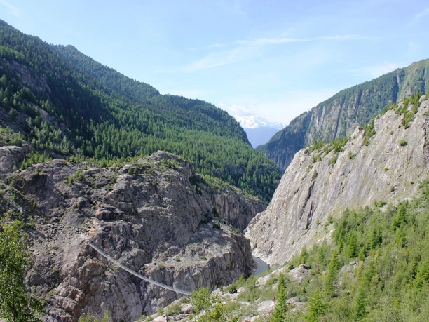 Bergtour von der Riederalp via Hängebrücke zur Oberaletschhütte und zurück auf die Belalp