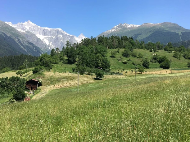 Wanderung von Fiesch via Ernen, Mühlebach, Steinhaus nach Niederwald