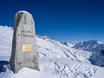 John Tyndall Denkmal