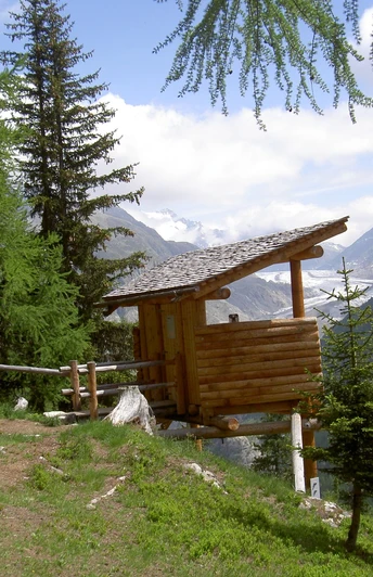 Wildbeobachtungsposten