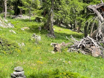 Abzweigung nach rechts vom Hauptwanderweg