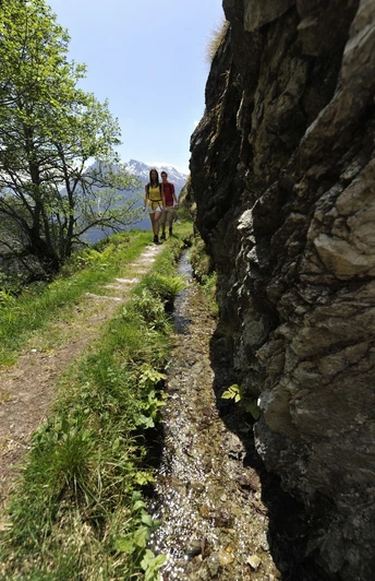 Mund Suonenwanderung