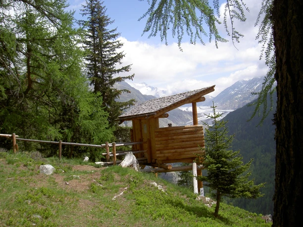 Wildbeobachtungsposten