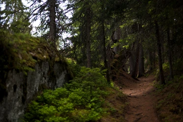 Burgenweg