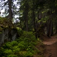 Burgenweg