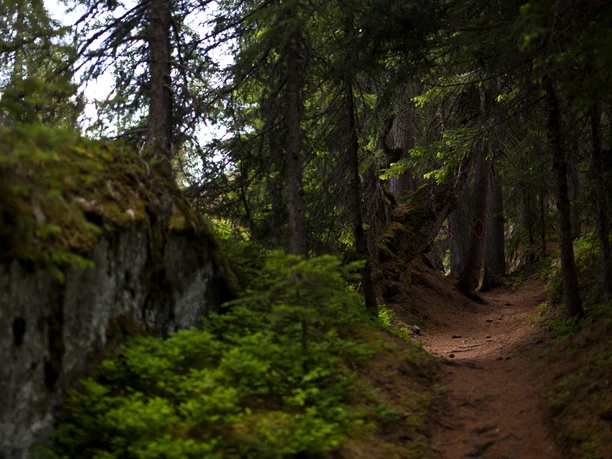 Burgenweg