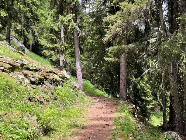 Horumattewald