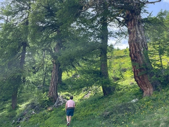 auf dem Wäg zum Bättchrizji