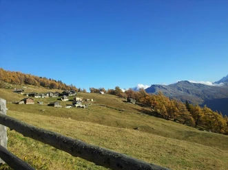 Brischeru