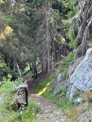 Salwald-Brischeru