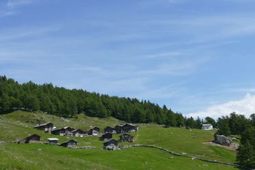 Salwald-Brischeru