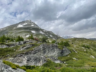 Blick hoch zum Gärsthorn