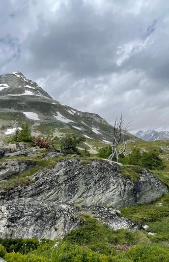 Blick hoch zum Gärsthorn