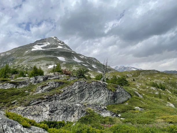 Blick hoch zum Gärsthorn