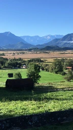 Ausblick ins Moos Ausblick ins Moos