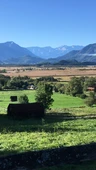 Ausblick ins Moos Ausblick ins Moos