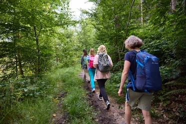 Bergische Wanderwoche Personengruppe beim Wandern auf einem schmalen, grünen Waldweg mit Bäumen und dichtem Laub.