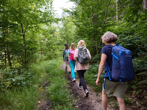 Bergische Wanderwoche Personengruppe beim Wandern auf einem schmalen, grünen Waldweg mit Bäumen und dichtem Laub.