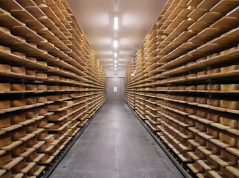 Der Käsekeller in der Bergkäserei Oberberg