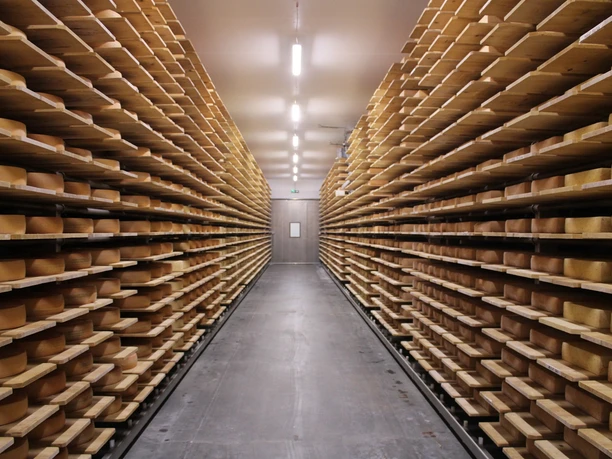 Der Käsekeller in der Bergkäserei Oberberg