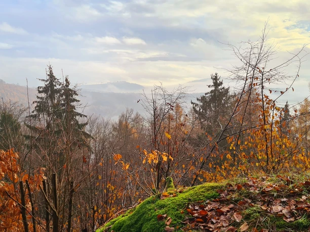 Qualitätstour Archotrail (Bo 4)