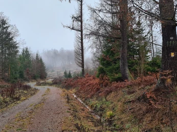 Qualitätstour Archotrail (Bo 4)