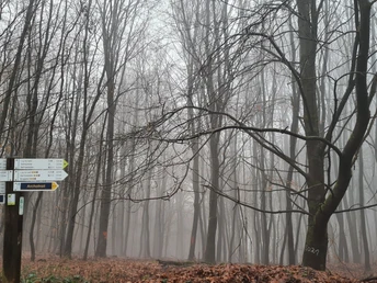 Qualitätstour Archotrail (Bo 4)