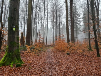 Qualitätstour Archotrail (Bo 4)