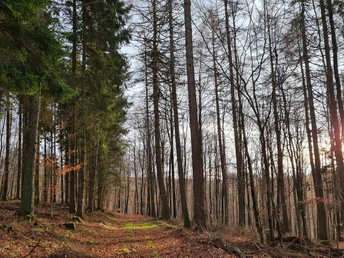 Qualitätstour Lunauborn (Schö 1)