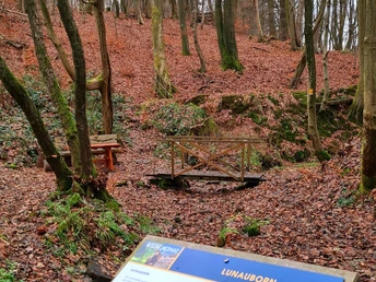 Qualitätstour Lunauborn (Schö 1)