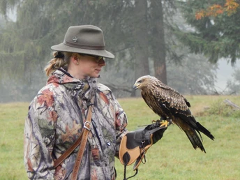 Falknerei Wildpark Neuhaus