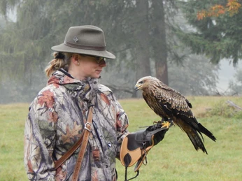 Falknerei Wildpark Neuhaus
