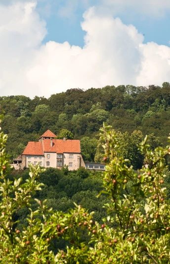 Schaumburg und Paschenburg
