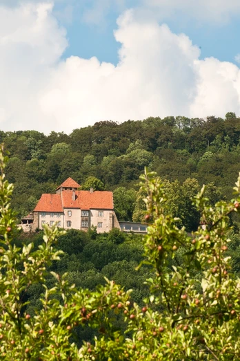 Schaumburg und Paschenburg