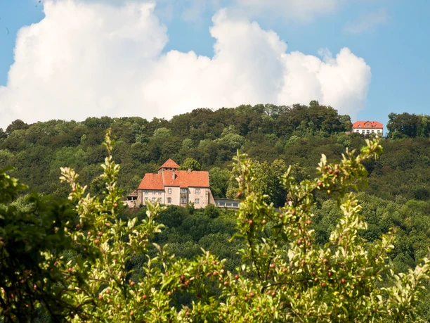 Schaumburg und Paschenburg