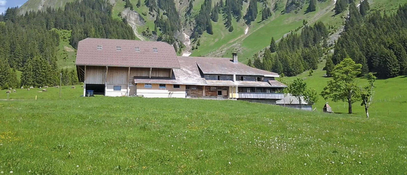 Alpkäserei Baumgarten.jpg