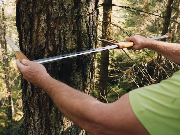 Entlebucher Wald-Holz