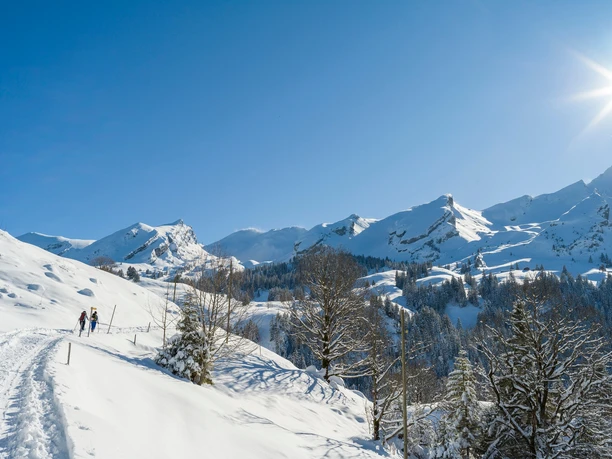 Schneeschuhtour Niedrrickenbach