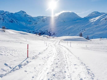Winterwandern Simplon