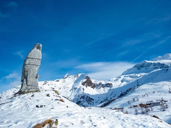Simplon Adler im Winter