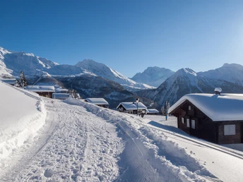 Schneeschuwandern Rosswald