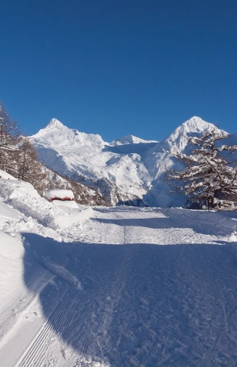 Schneeschuhwandern Rosswald