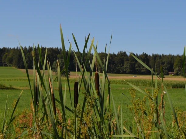 Lehrpfad Lindenberg_Landschaft.JPG